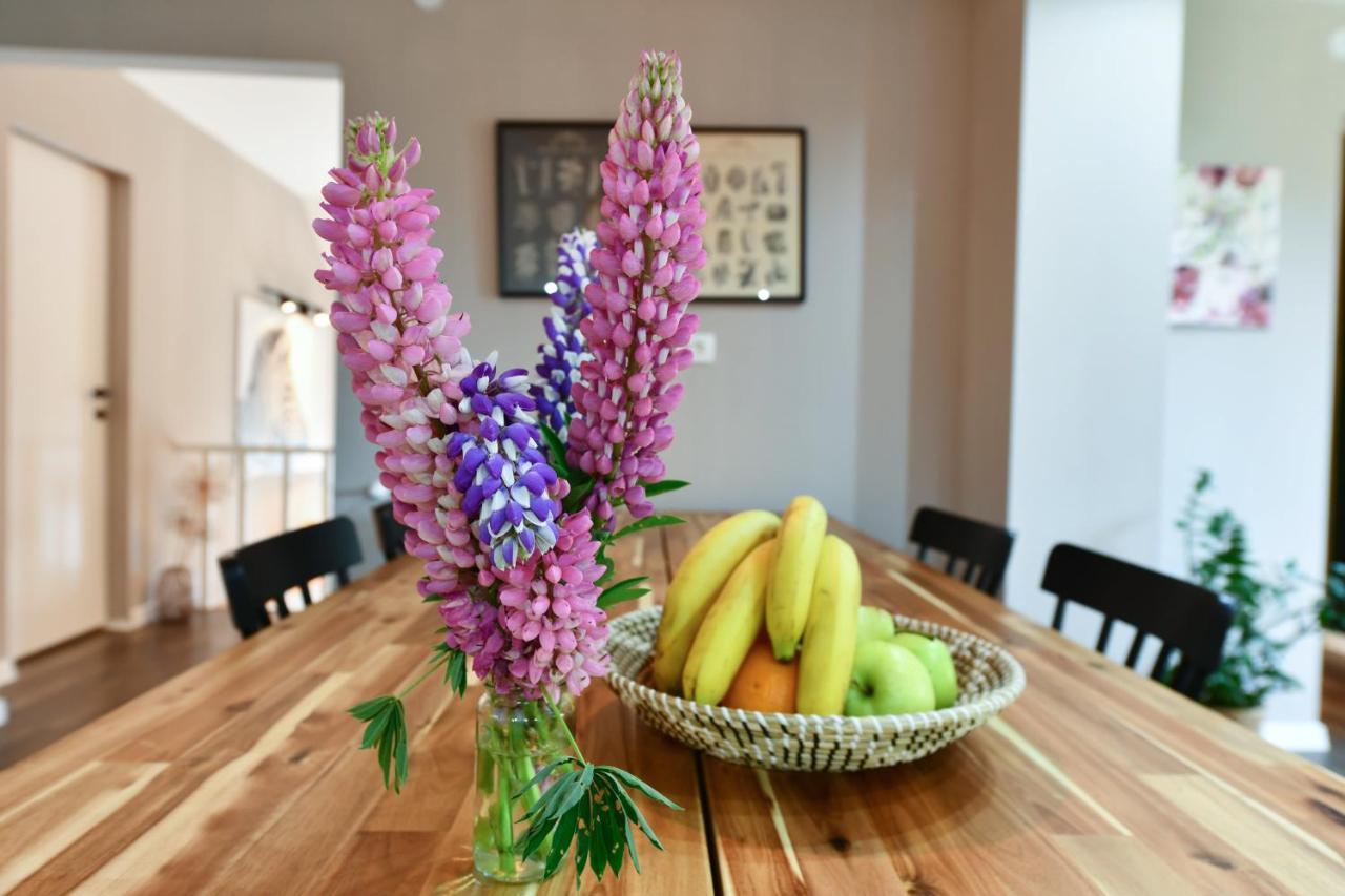 Apartment Murva Dreznik Grad Ngoại thất bức ảnh